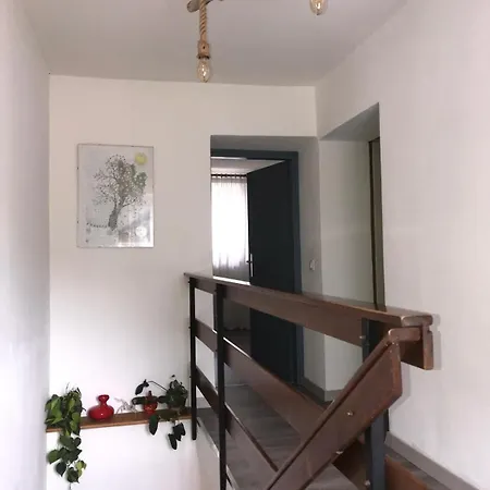 Casa Morit Hostel *